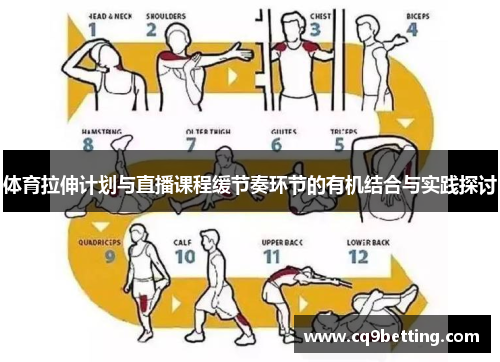 体育拉伸计划与直播课程缓节奏环节的有机结合与实践探讨